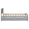 Modern Design Twin Size Platform Bed Frame with 2 Drawers for Grey Color