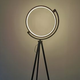 Danish Designer Art Floor Lamp Exhibition Hall Light (Option: Black warm light-220V)