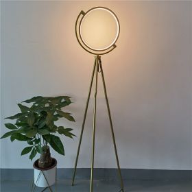 Danish Designer Art Floor Lamp Exhibition Hall Light (Option: Golden warm light-220V)