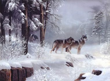 Couple Wolf Animal Landscape Diamond Painting (Option: Style19)