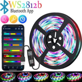 RGB Color-changing 5V Magic USB Light Strip (Option: WS2812b Bluetooth-30M)