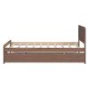 Modern Design Wooden Twin Size Platform Bed Frame with Trundle for Walnut Color